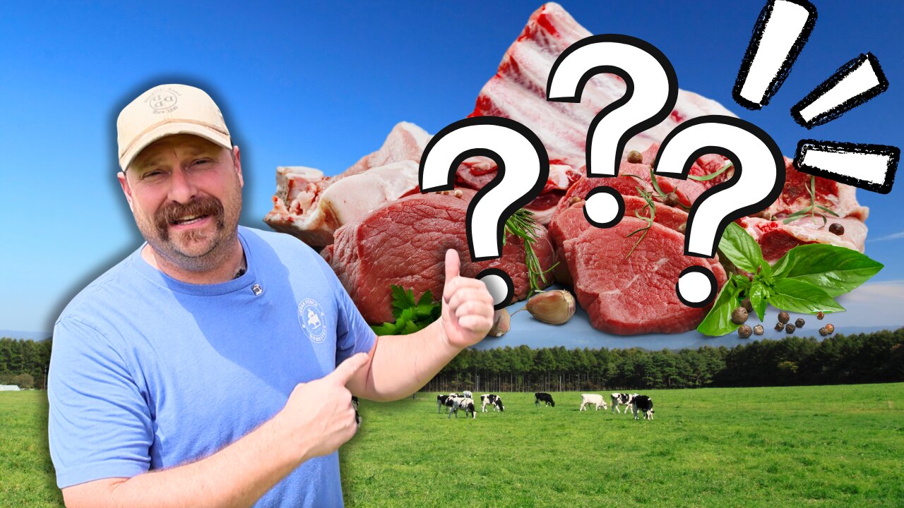 Beef - Do You Really Know What You're Eating???