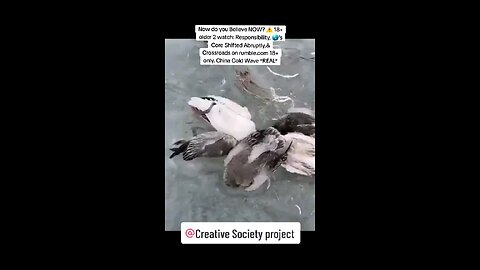 👀 REAL! Ducks FROZEN IN PLACE🇨🇳