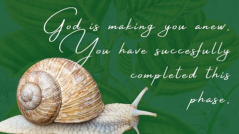 Being made anew by God - You have succesfully completed this phase of the divine plan for your life - Prophetic word