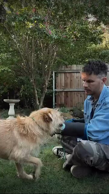 Love All Life Always #368 - TRUST. No Being Can Resist Love For Long. Love IS The Greatest Force.💖