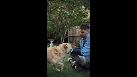 Love All Life Always #368 - TRUST. No Being Can Resist Love For Long. Love IS The Greatest Force.💖