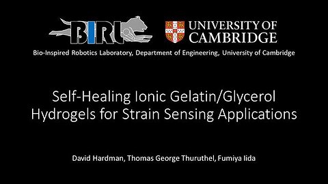 Self-healing hydrogel 