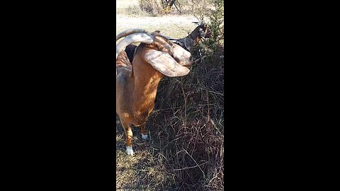 2 Corinthians 4:18 NIV