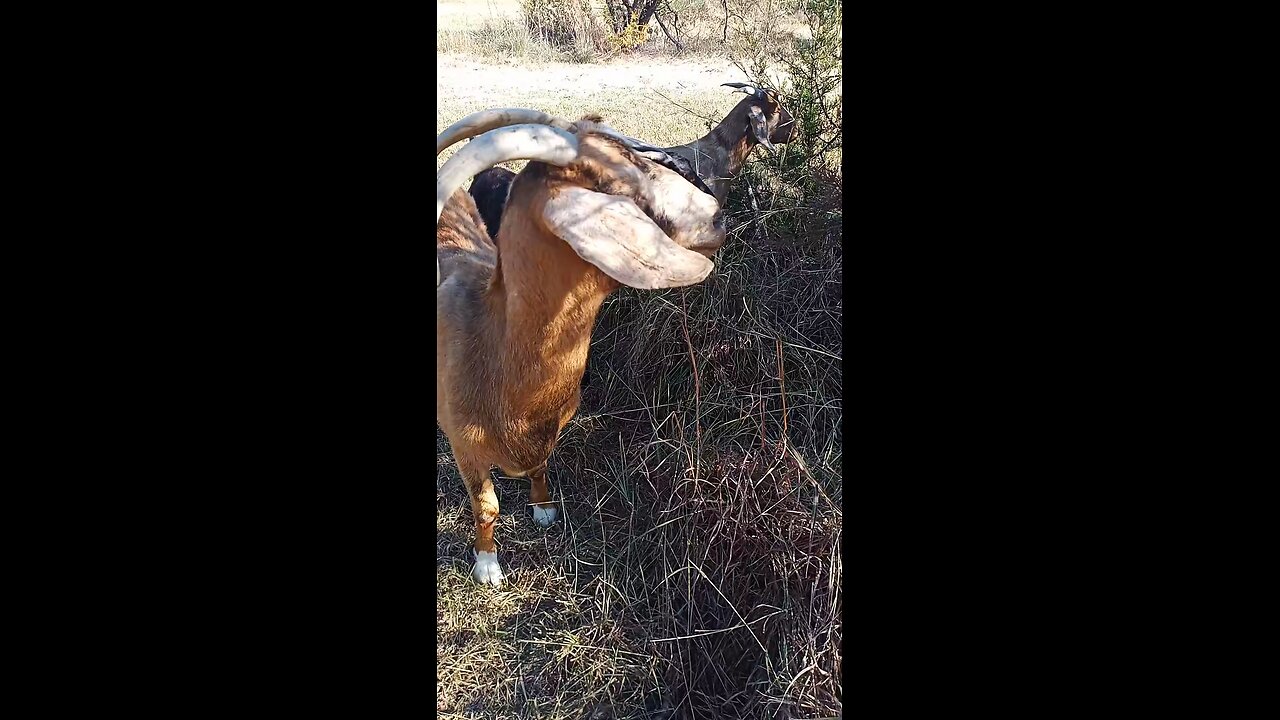 2 Corinthians 4:18 NIV