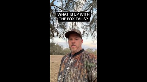 WHAT IS THE MEANING BEHIND THE FOX TAILS?