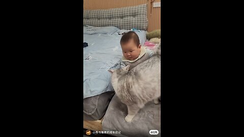 Funny Cat n humans