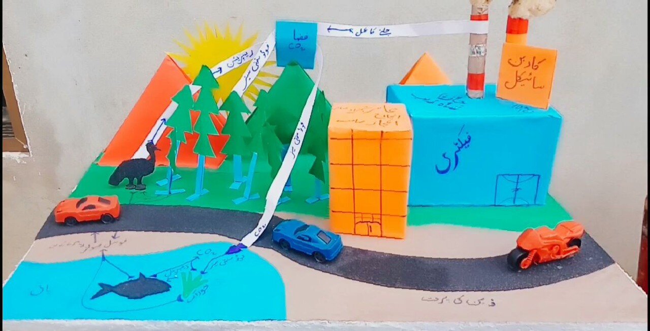 "How to Make a Carbon Cycle Model: A Step-by-Step Guide"