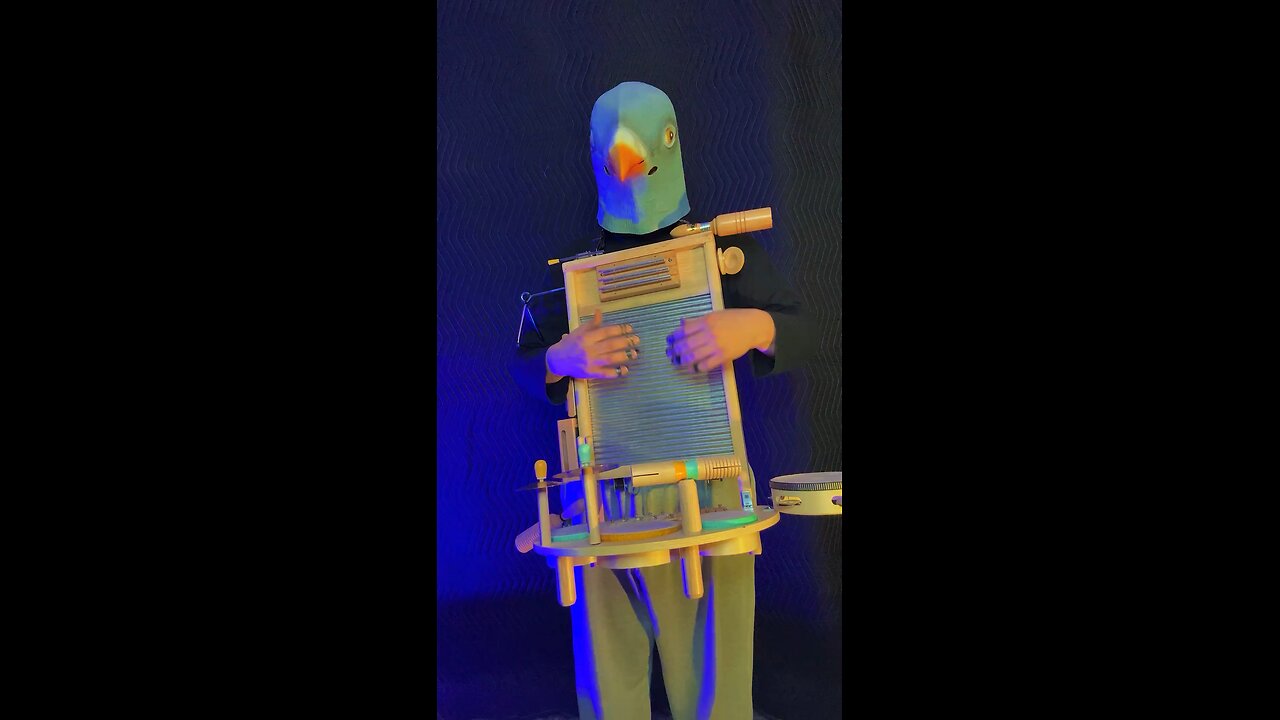 Pigeon banging beats