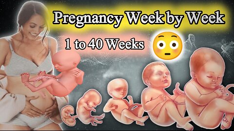 pregnancy week by week 1 to 40 weeks