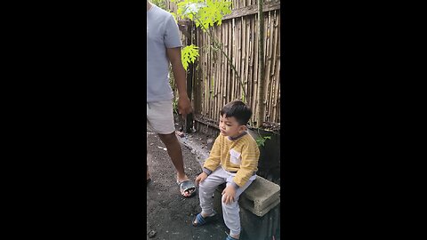 Tan-aw si Grey sa rooster