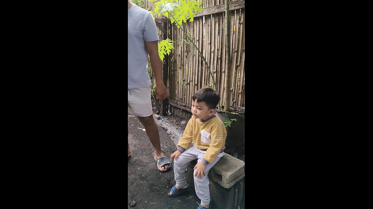 Tan-aw si Grey sa rooster