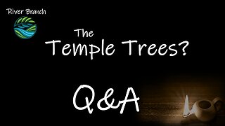 The Temple Trees? Q&A - Hidden Revelations