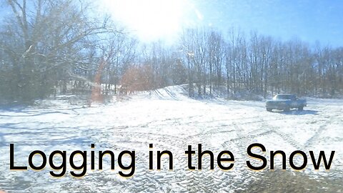 Logging in the snow