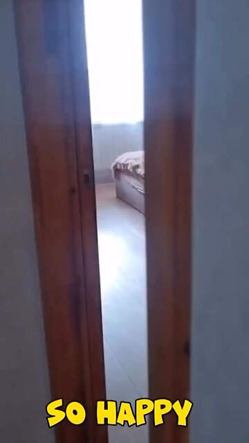 How can anyone not smile watching this?😂❤️🥰