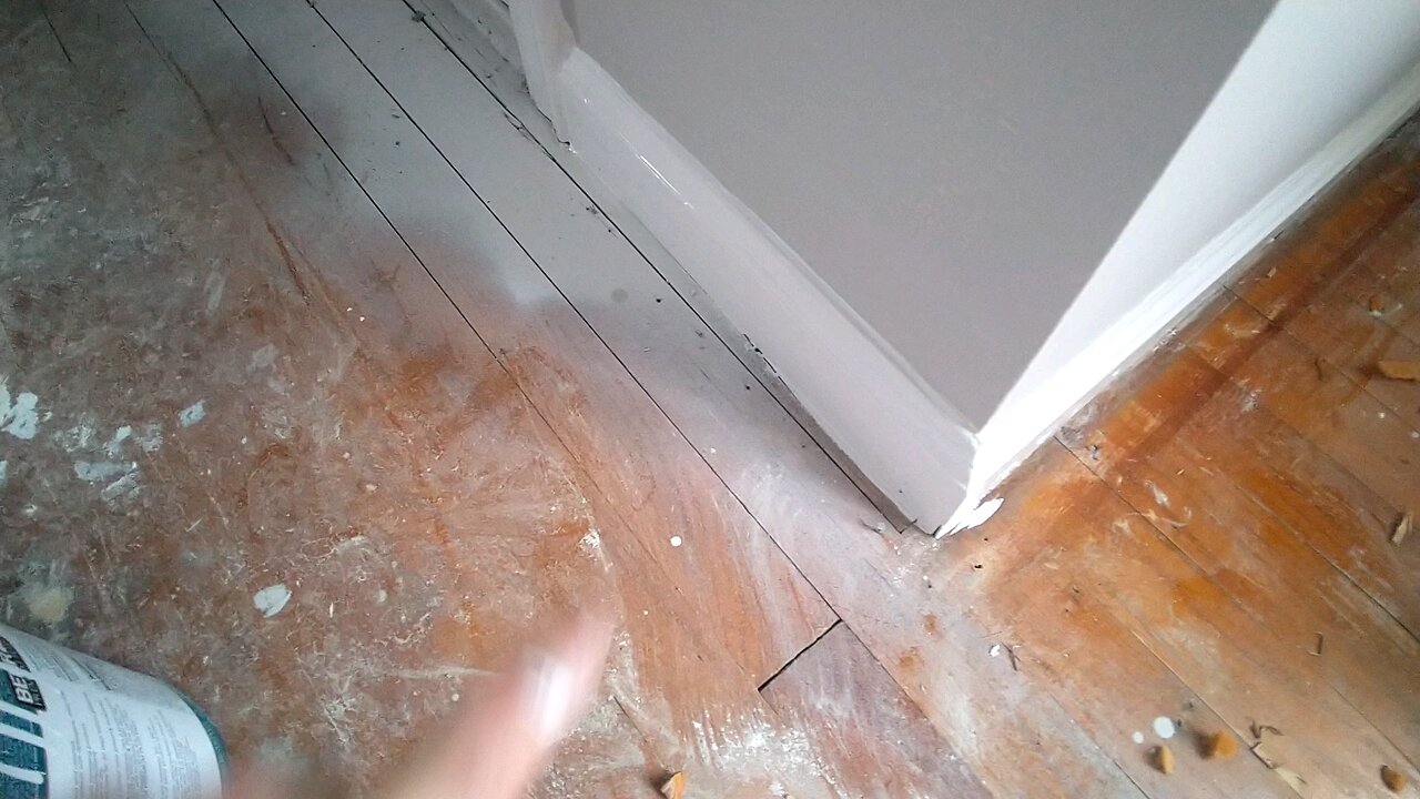 BaseBoard Champion Painter FreeHand