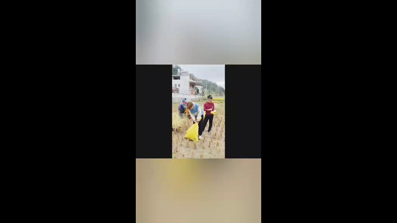 funny farming technique