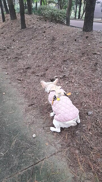 20251105 God is love