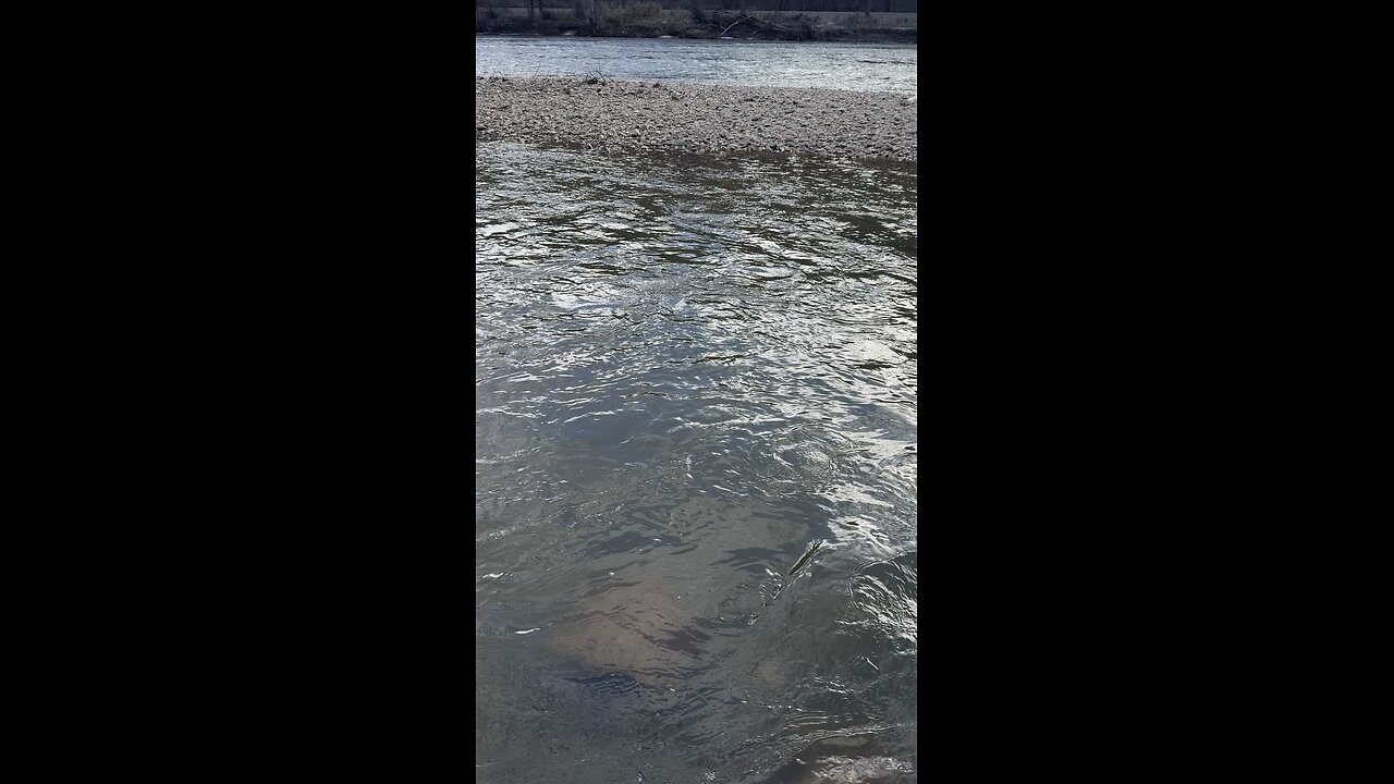 French Broad River after Hurricane Helene!