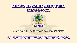 MIMSZ 2025 - Dr. Tóthmartinez Adrienne előadása