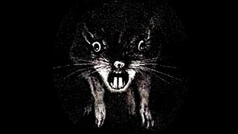 Willard-Bruce Davison, Elsa Lanchester, Ernest Borgnine, Sondra Locke-1971 IMDb 6.2/10