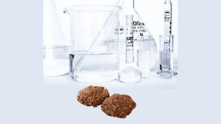 Mr. Beast, Children, and Lab Grown Meat