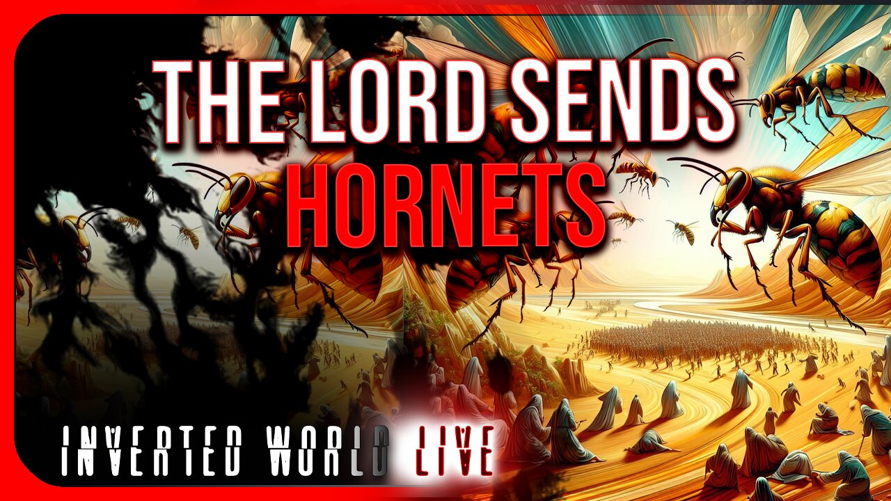 The Lord Sends Hornets