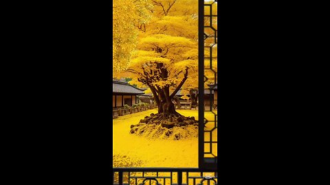 beautiful tree