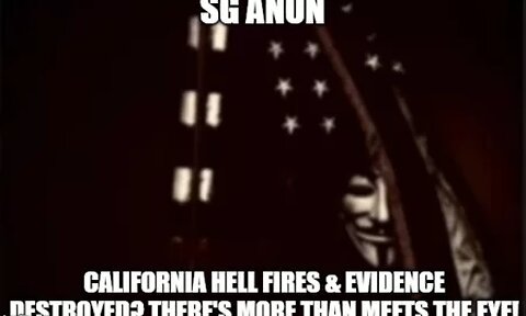 LIVE Q&A with SG ANON