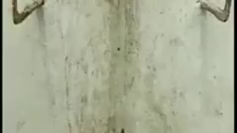 Amazing video . Viral_video