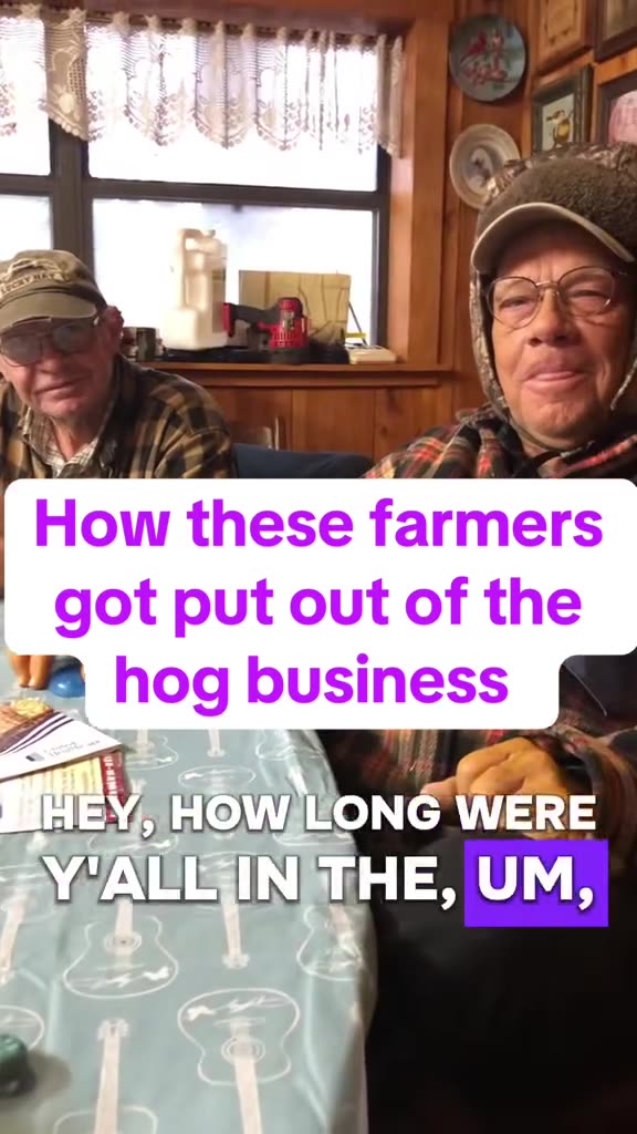 How these Farmers got put out of the hog business