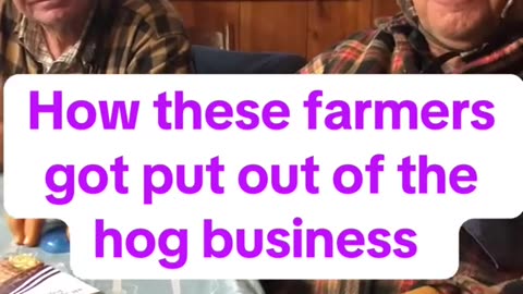 How these Farmers got put out of the hog business