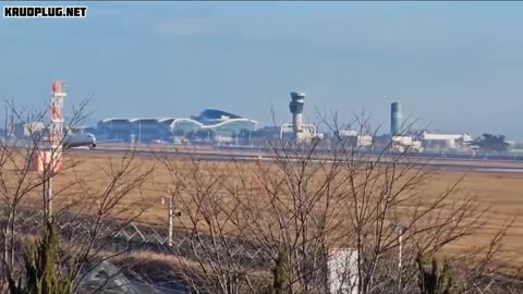 179 confirmed dead in Jeju Air plane crash - South Korea