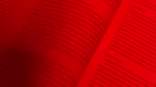 it’s the little things 🩷