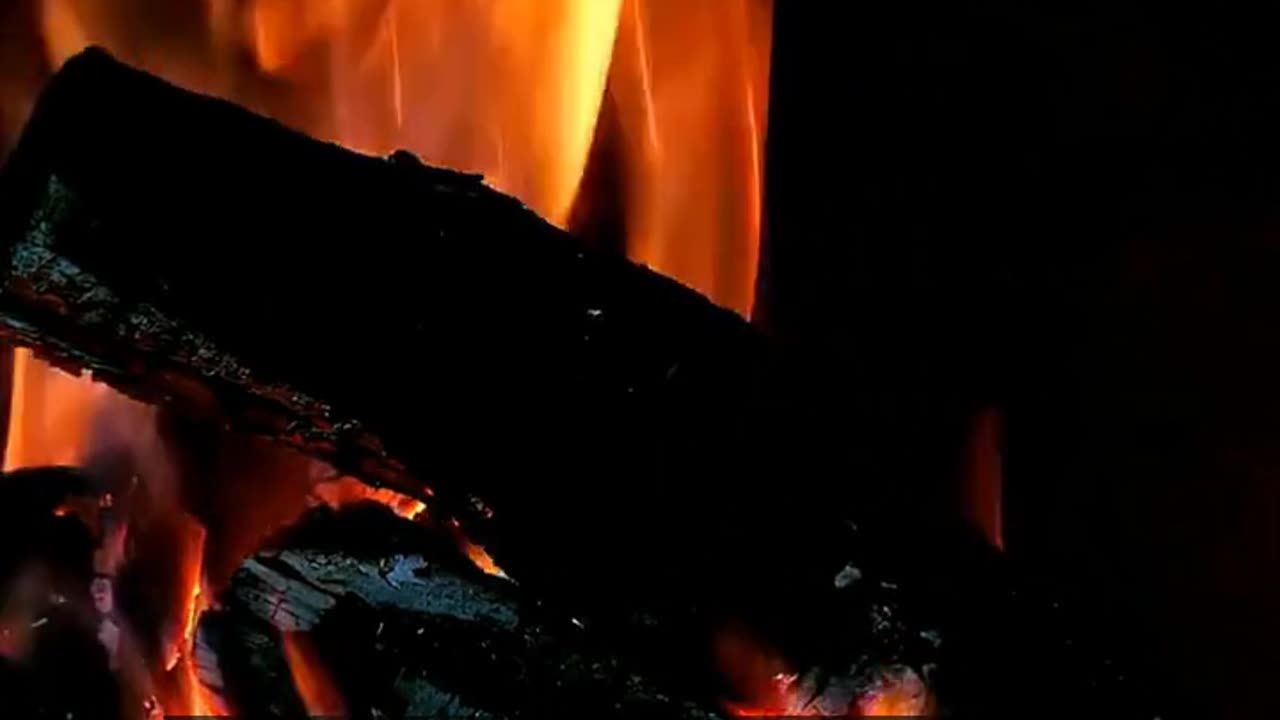 Daily Horoscope | Aries 🌟