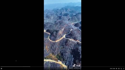 China: plant and animal habitats bulldozed to make way for 40k acres of solar