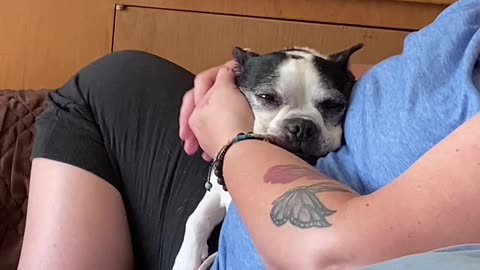 Cute