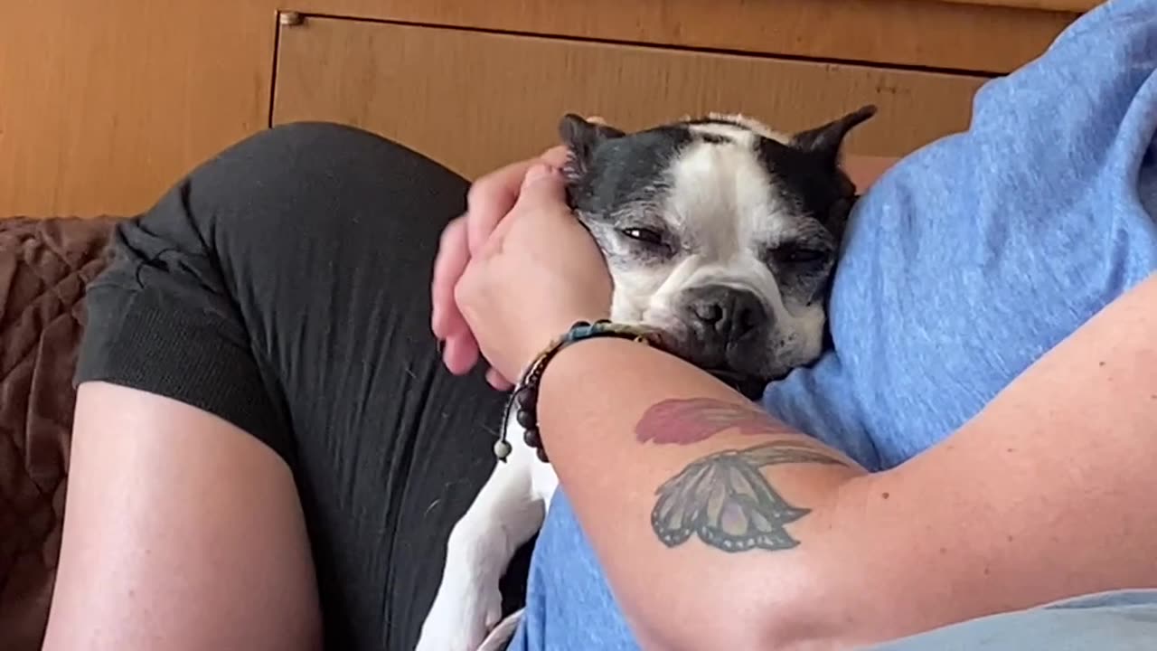 Cute