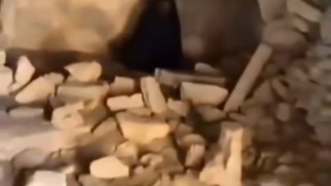 👹⚠️ What Is That Thing? Unbelievable Creature Caught on Camera! Unknown Entity | TheHauntingHour