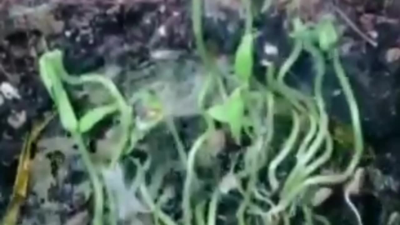 Every chapter that closes opens a new one