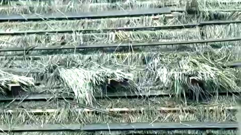 Trained by His Father’s Killer, He Returns for Ultimate Revenge! Part-2