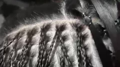 Micro hair braids