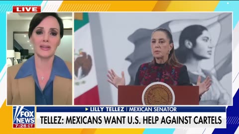 Mexican senator drops bombshell: Sheinbaum wants to be the 'next Venezuela'