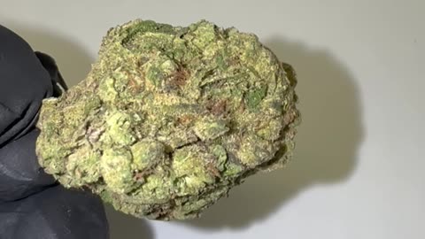 THCa Flower - 1/8th - Purple Kush Pop
			