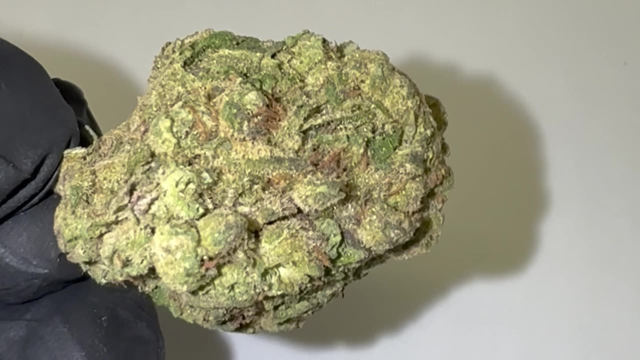 THCa Flower - 1/8th - Purple Kush Pop