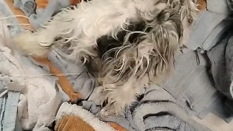 😂💦 I Must Dry Myself Right Now! | FunFM