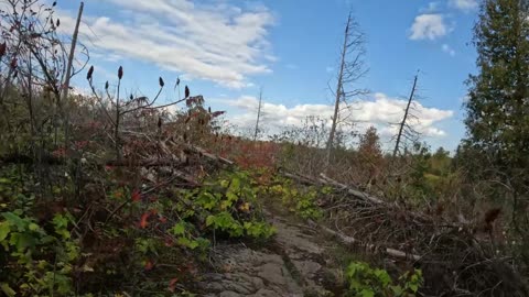 🏇 Welcome To Bruce Pit Trails Part 4 In Ottawa Ⓜ️ Canada 🍁