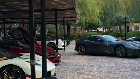 😎👑 The King of the Road: Luxury Car Goals! | LuxurySportsCars