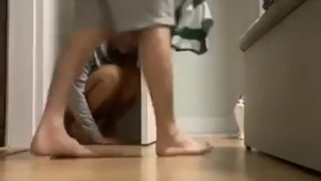 🐱🤯 Cats Have 'Object Permanence', But Humans Don't Until Age 2! | FeedMyCuriosity