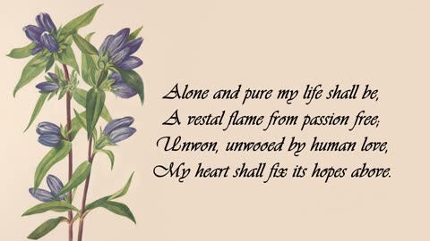 Gentian - The Language of Flowers