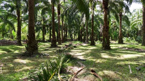 "Action is the foundational key to all success."